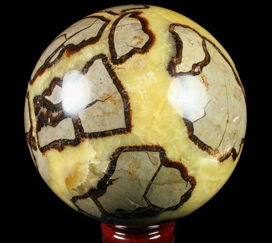 Polished Septarian Sphere - lbs #79332